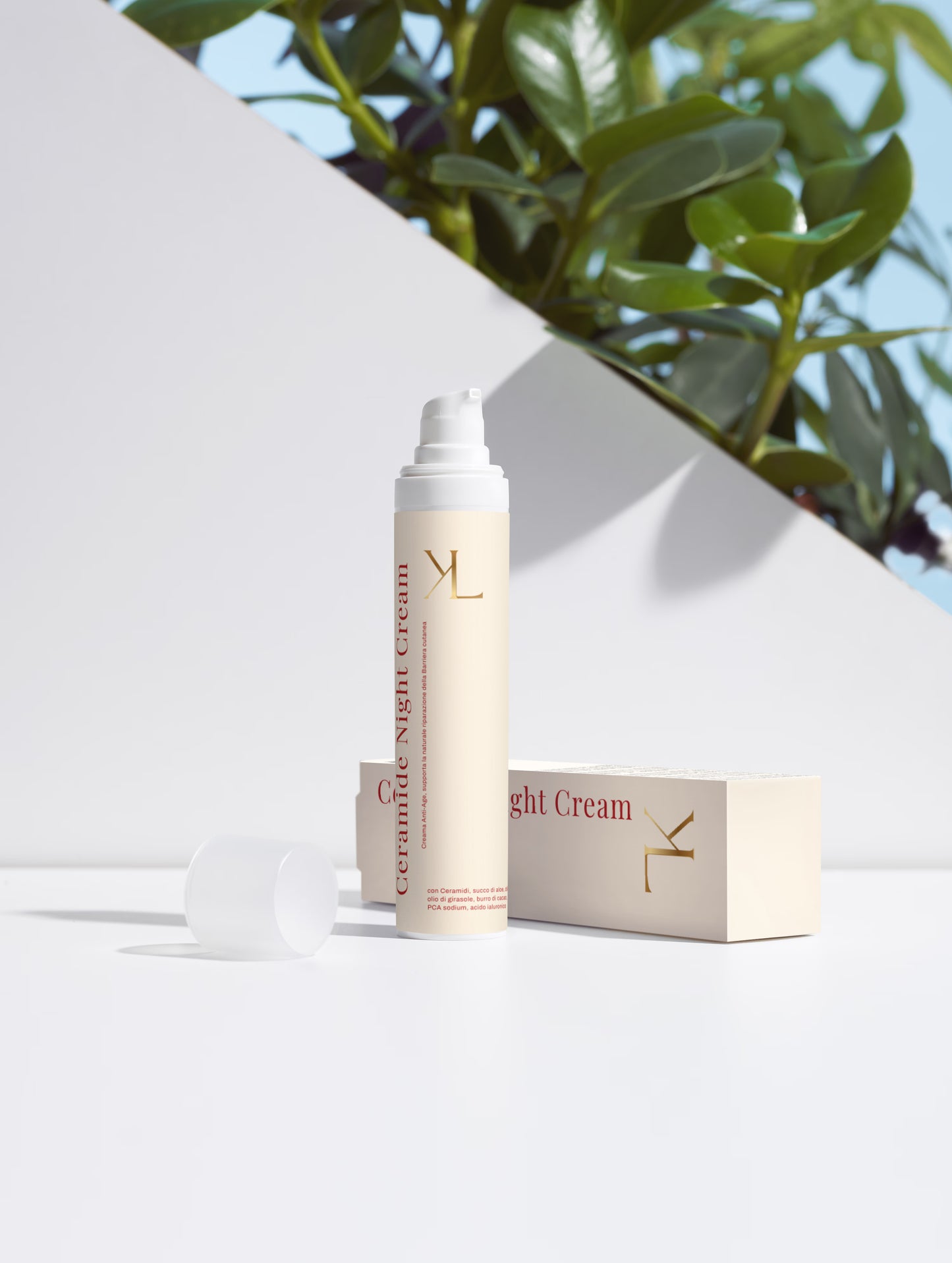 Ceramide Night Cream