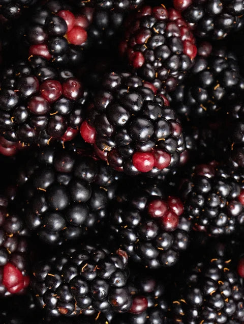 more frutti di bosco